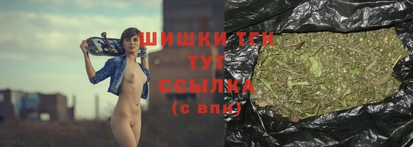 шишки Верхний Тагил