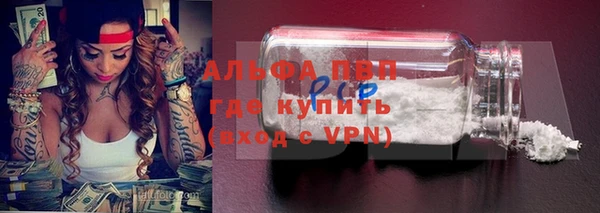 шишки Верхний Тагил