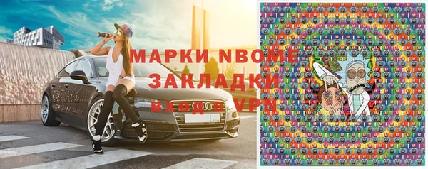 шишки Верхний Тагил