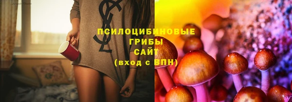 крисы Верхнеуральск