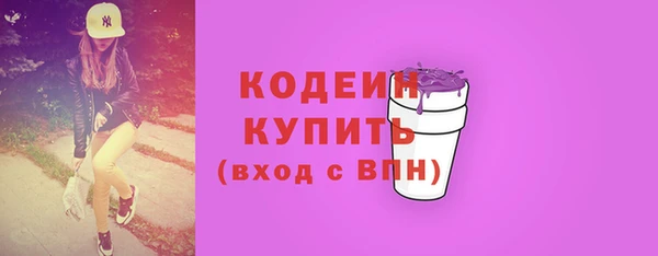 шишки Верхний Тагил
