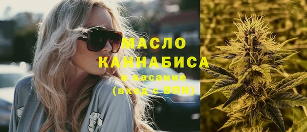 шишки Верхний Тагил