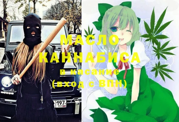 шишки Верхний Тагил