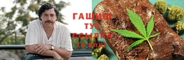 шишки Верхний Тагил