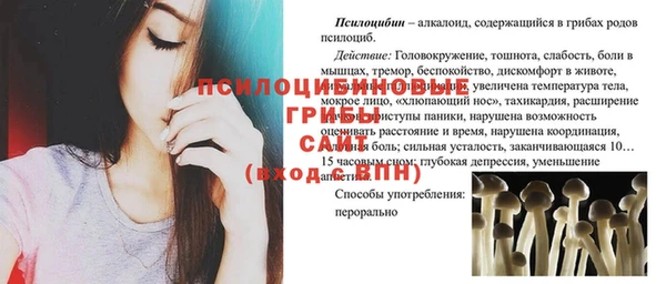 ECSTASY Верея